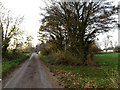 Millway Lane & footpath