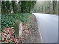 Old milestone, Woodhead Road