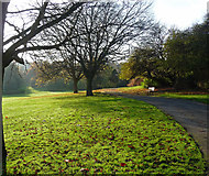 TQ3471 : Sydenham Wells Park (6) by Stephen Richards