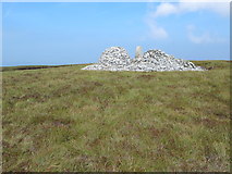 NY6055 : Cairn, trig point and shelter on the summit of Cold Fell by Mike Quinn