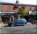 Tuula in Alderley Edge