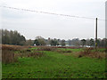 Wet field by Marbury Big Mere