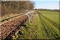 SP1529 : Gallops near Hams Hill Farm by Philip Halling
