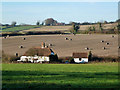 View to The Old Cottage and beyond