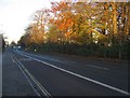 Bus lane on the A325