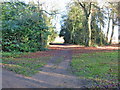 Footpath in the park