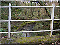 Looking upstream from a bridge on Mully Brook near Riddlecombe