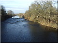 River Calder, Horbury Bridge