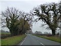 A495 east of Bronington