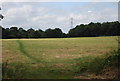 Field by the old Nidd Valley line