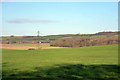 View towards Forty Acre Wood