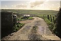 Track to Southdown Farm