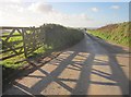 Lane to South Milton Sands