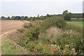 Pulford Brook