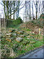 The Daisy Bank path, Hebden Royd FP22