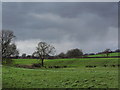 Rolling farmland & shower clouds near Moss House, Kidsgrove