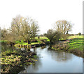 Fork in the River Wensum