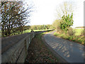 View along Elsing Lane