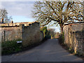 Dawgates Lane, Skegby