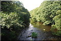 River Nidd, Nidd Gorge