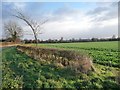 Farmland south-west of Hutton Sessay