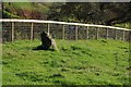 Stone at Maugersbury