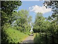 Granite Way north of Lydford