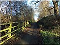 Footpath alongside Newcastle Lane