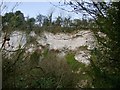 Seale chalk-pit, seen from Wood Lane