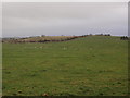 Fields beside Castlemilk