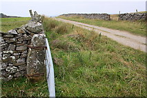 SE0488 : Gateways in walls of High Lane by Roger Templeman