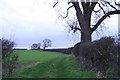 Bridleway from Irby to the Great Limber road