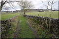 Track from Stanleymoor Farm