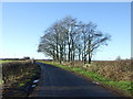 Minor road towards Skerne