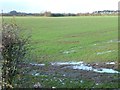SE4270 : Waterlogged farmland at Park Closes by Christine Johnstone