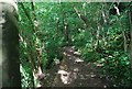 Footpath in the Nidd Gorge