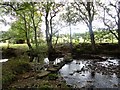 Stepping stones across the Browney