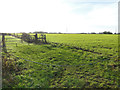 Field beside Stone Road, Yaxham