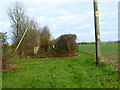 Path bends around field boundary at electricity pole