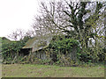 Derelict shed