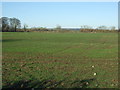 Flat farmland near Wansford