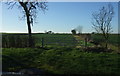 Field entrance off Wansford Road