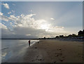 Dog walking and ball throwing on the sand at Rosemarkie