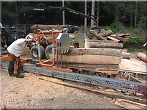 NY3013 : Timber cutting near Harrop Tarn, Thirlmere by Colin Park