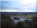 SJ8848 : Lake and car park in Central Forest Park viewed from hill by Jonathan Hutchins