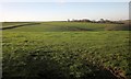 Fields south of Trehane