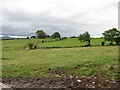 View across drumlin land towards farm outbuildings from the Legananny Hall Road