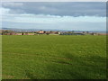 Farmland and the roof of Acton Pigott Farm