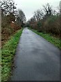 Location of sidings Comber Greenway