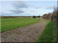 Bridleway south of Home Farm